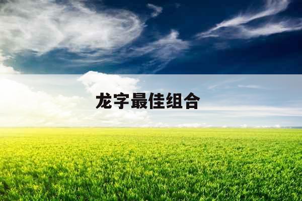 龙字最佳组合 