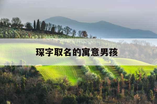 琛字取名的寓意男孩 