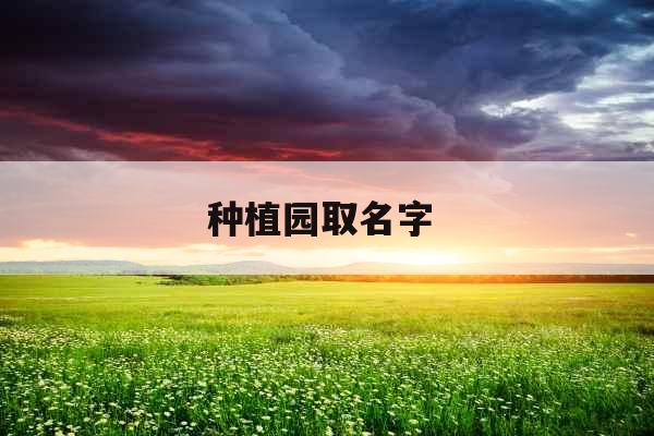 种植园取名字 