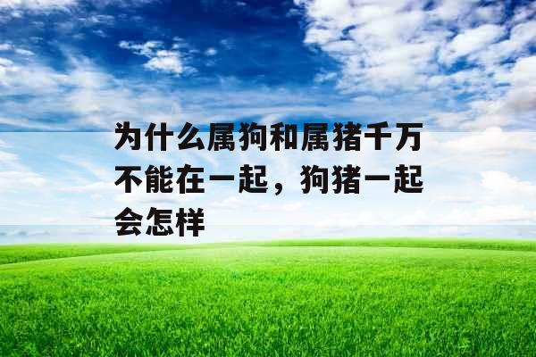 为什么属狗和属猪千万不能在一起,狗猪一起会怎样 为什么属狗和属猪千万不能在一起,狗猪一起会怎样