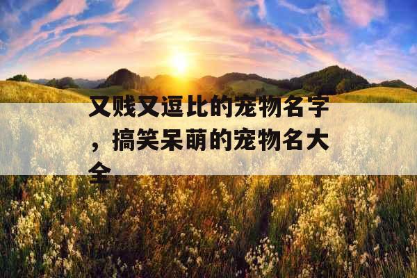 又贱又逗比的宠物名字，搞笑呆萌的宠物名大全