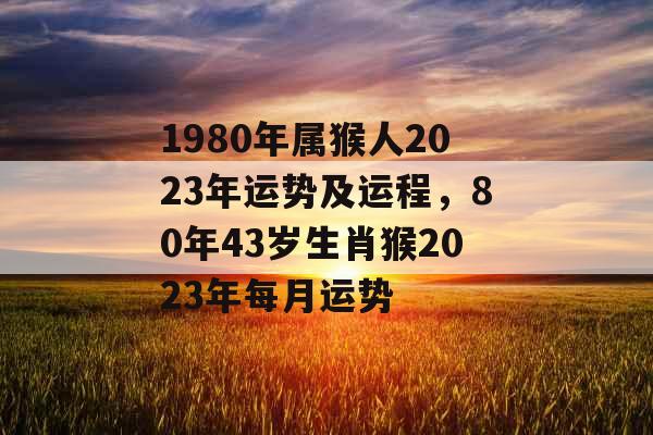 1980年属猴人2023年运势及运程，80年43岁生肖猴2023年每月运势