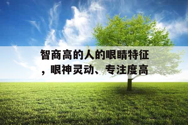 智商高的人的眼睛特征，眼神灵动、专注度高