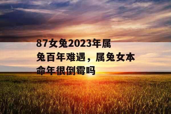 87女兔2023年属兔百年难遇，属兔女本命年很倒霉吗