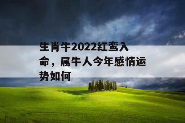 生肖牛2022红鸾入命，属牛人今年感情运势如何