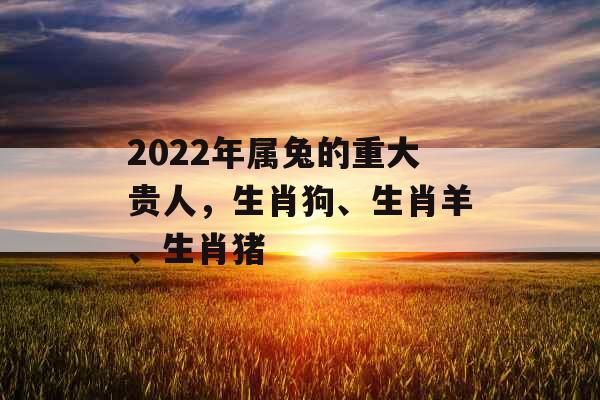2022年属兔的重大贵人，生肖狗、生肖羊、生肖猪