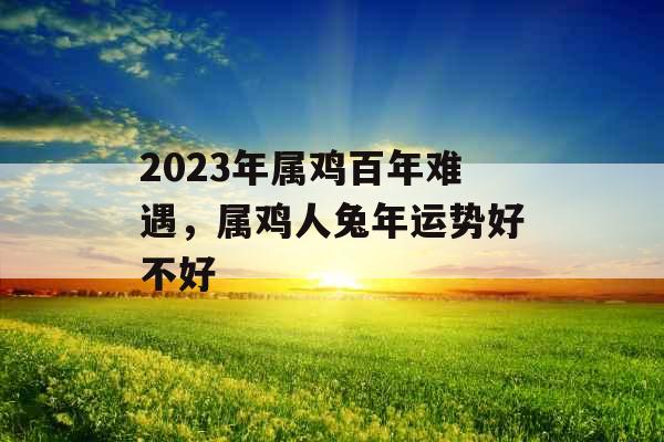 2023年属鸡百年难遇，属鸡人兔年运势好不好