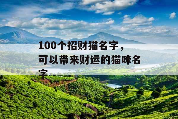 100个招财猫名字，可以带来财运的猫咪名字