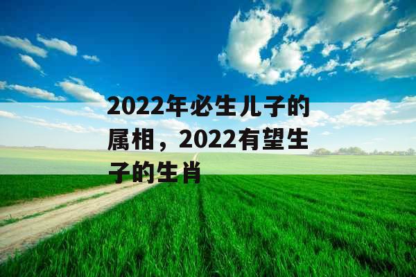 2022年必生儿子的属相，2022有望生子的生肖
