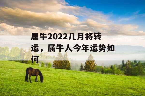 属牛2022几月将转运，属牛人今年运势如何