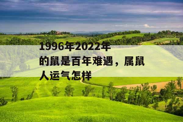 1996年2022年的鼠是百年难遇，属鼠人运气怎样