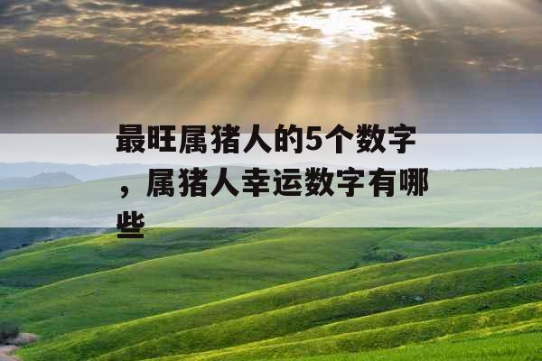 最旺属猪人的5个数字，属猪人幸运数字有哪些