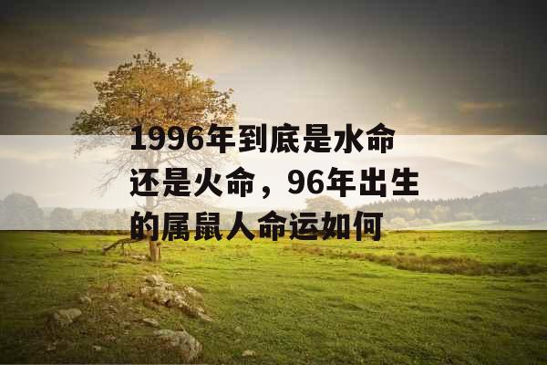 1996年到底是水命还是火命，96年出生的属鼠人命运如何