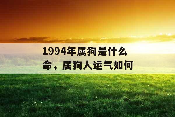 1994年属狗是什么命，属狗人运气如何