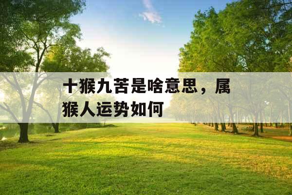十猴九苦是啥意思，属猴人运势如何