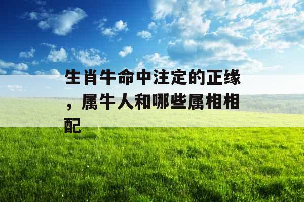 生肖牛命中注定的正缘，属牛人和哪些属相相配