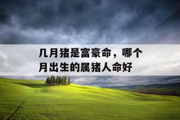 几月猪是富豪命，哪个月出生的属猪人命好
