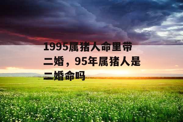 1995属猪人命里带二婚，95年属猪人是二婚命吗