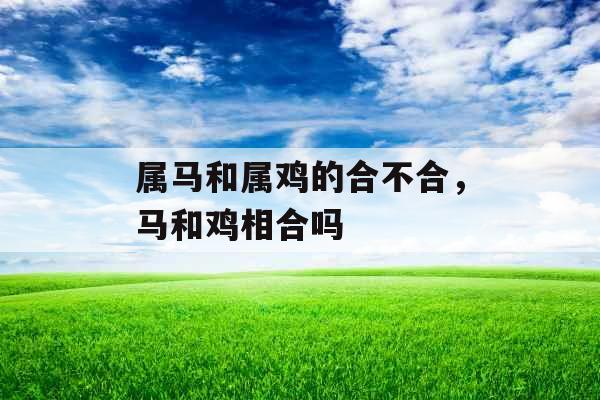 属马和属鸡的合不合，马和鸡相合吗