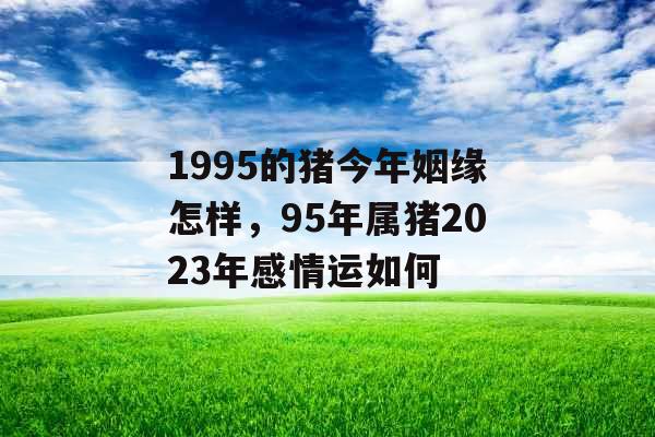 1995的猪今年姻缘怎样，95年属猪2023年感情运如何