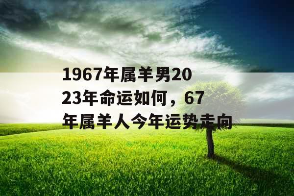 1967年属羊男2023年命运如何，67年属羊人今年运势走向