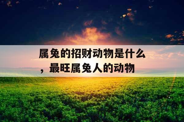 属兔的招财动物是什么，最旺属兔人的动物