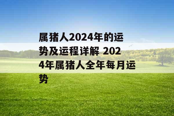 属猪人2024年的运势及运程详解 2024年属猪人全年每月运势