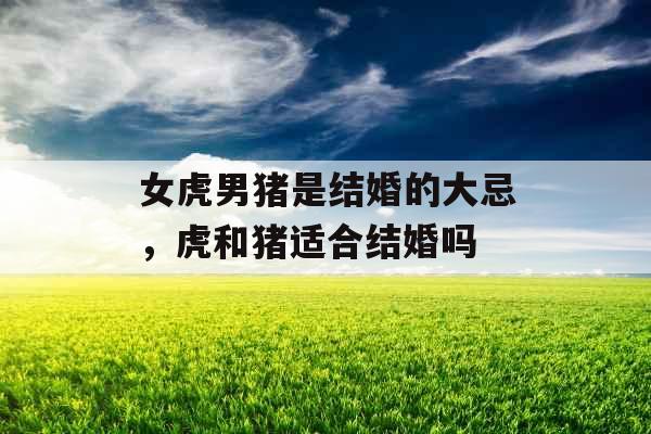 女虎男猪是结婚的大忌，虎和猪适合结婚吗