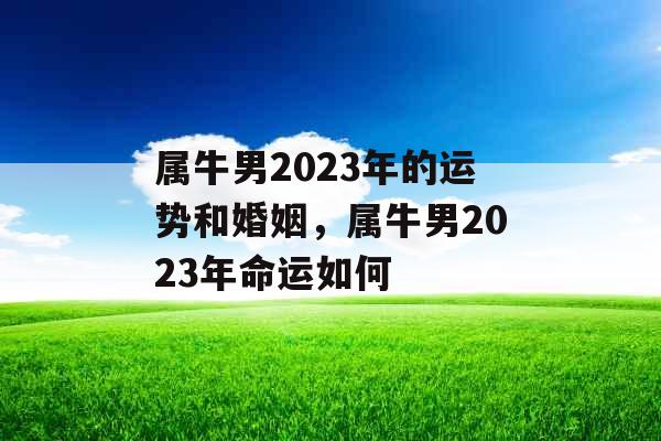 属牛男2023年的运势和婚姻，属牛男2023年命运如何