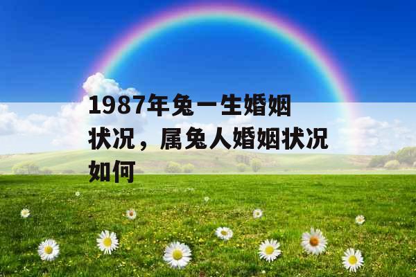 1987年兔一生婚姻状况，属兔人婚姻状况如何