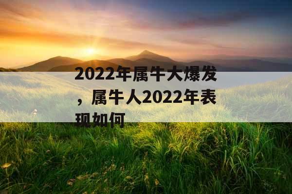 2022年属牛大爆发，属牛人2022年表现如何