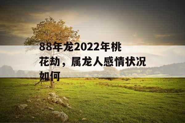 88年龙2022年桃花劫，属龙人感情状况如何