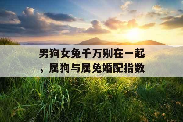男狗女兔千万别在一起，属狗与属兔婚配指数