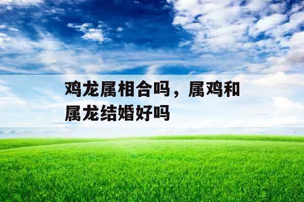 鸡龙属相合吗，属鸡和属龙结婚好吗