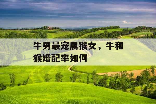 牛男最宠属猴女,牛和猴婚配率如何 牛男最宠属猴女,牛和猴婚配率如何