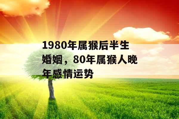 1980年属猴后半生婚姻，80年属猴人晚年感情运势