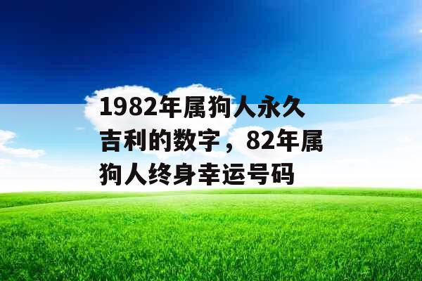 1982年属狗人永久吉利的数字，82年属狗人终身幸运号码
