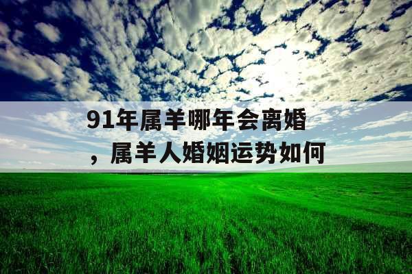 91年属羊哪年会离婚，属羊人婚姻运势如何