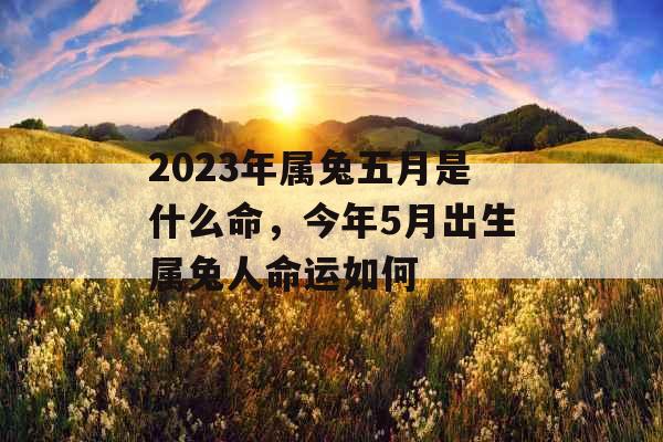 2023年属兔五月是什么命，今年5月出生属兔人命运如何