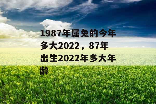 1987年属兔的今年多大2022，87年出生2022年多大年龄
