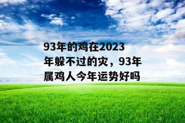 93年的鸡在2023年躲不过的灾，93年属鸡人今年运势好吗