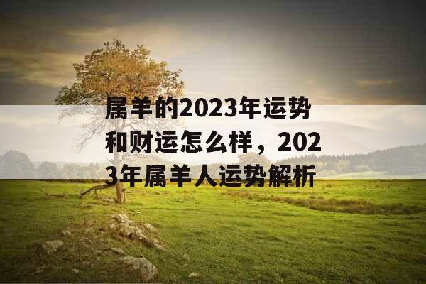属羊的2023年运势和财运怎么样，2023年属羊人运势解析