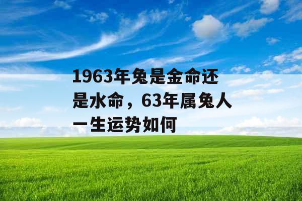 1963年兔是金命还是水命，63年属兔人一生运势如何