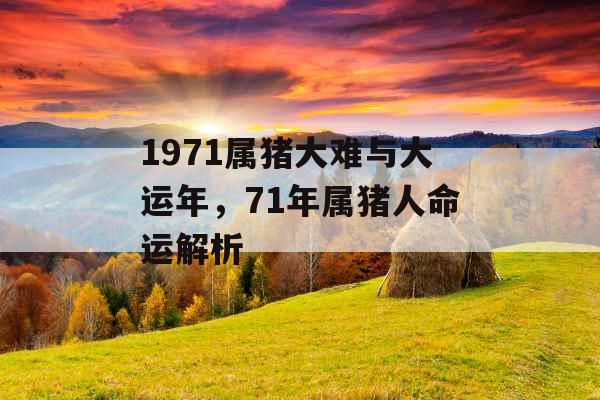 1971属猪大难与大运年，71年属猪人命运解析