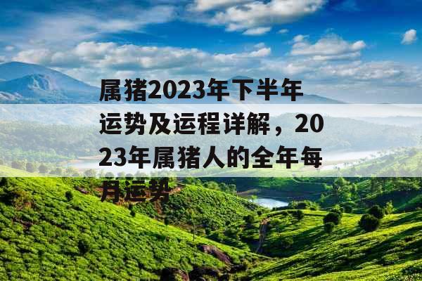 属猪2023年下半年运势及运程详解，2023年属猪人的全年每月运势