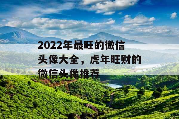 2022年最旺的微信头像大全，虎年旺财的微信头像推荐