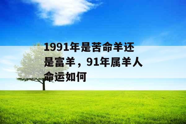 1991年是苦命羊还是富羊,91年属羊人命运如何 1991年是苦命羊还是富羊,91年属羊人命运如何