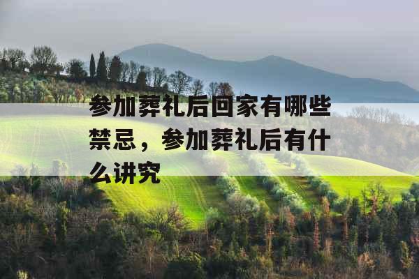 参加葬礼后回家有哪些禁忌,参加葬礼后有什么讲究 参加葬礼后回家有哪些禁忌,参加葬礼后有什么讲究