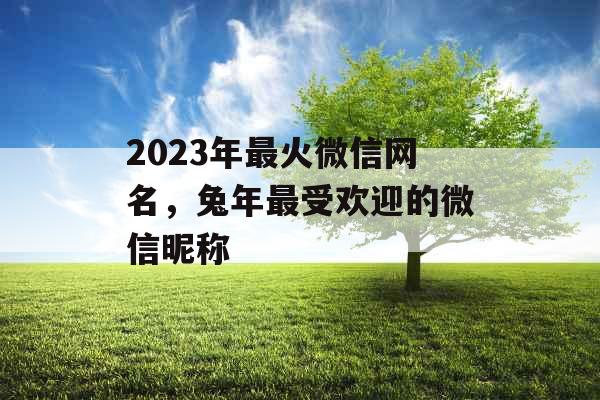 2023年最火微信网名，兔年最受欢迎的微信昵称