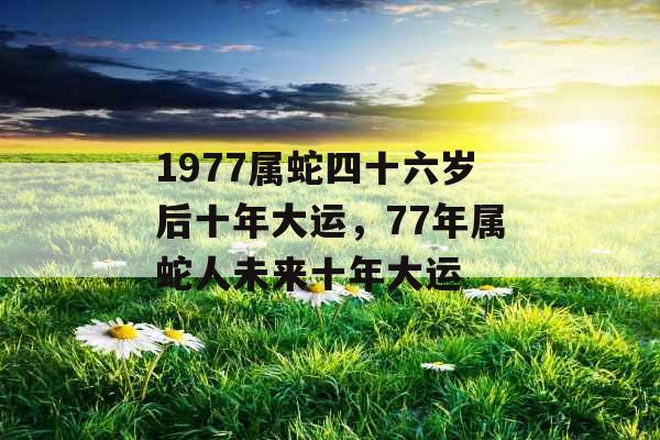 1977属蛇四十六岁后十年大运，77年属蛇人未来十年大运